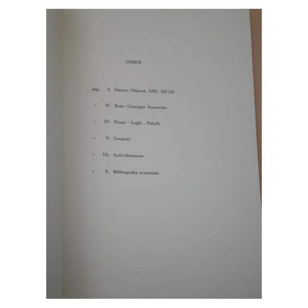 SULLE ANTICHE FONTI DI ROMA(1988)