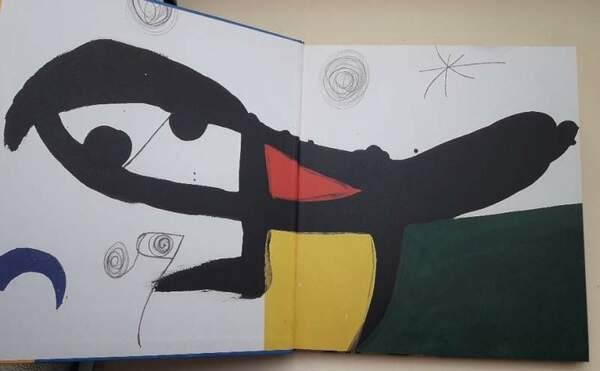 MIRO' POESIA E LUCE(2012)