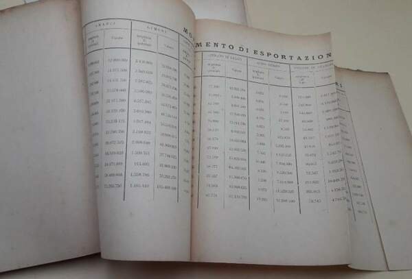 IL COMMERCIO AGRUMARIO(SAGGIO DI TECNICA MERCANTILE)(1924)