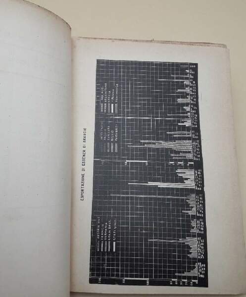 IL COMMERCIO AGRUMARIO(SAGGIO DI TECNICA MERCANTILE)(1924)
