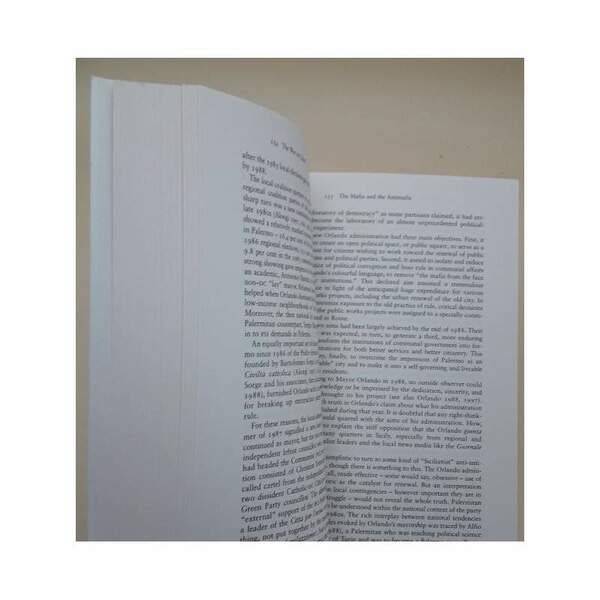 THE SEARCH FOR GOOD GOVERNMENT-UNDERSTANDING THE PARADOX OF ITALIAN DEMOCRACY( …