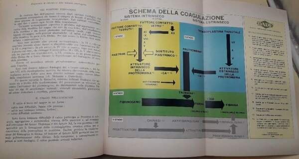 DIAGNOSTICA DI LABORATORIO DELLE MALATTIE EMORRAGICHE( 1971)