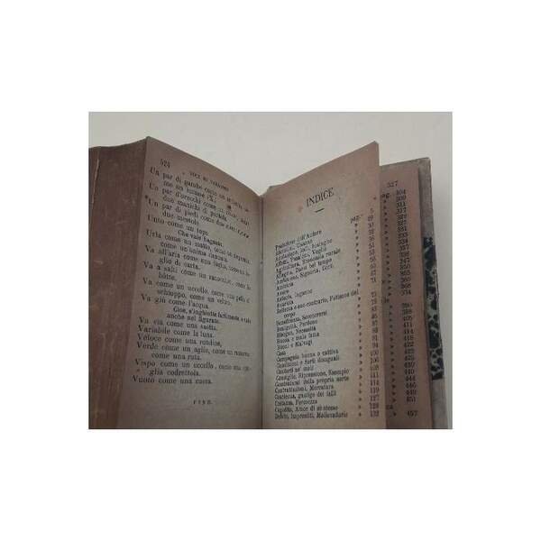 PROVERBI TOSCANI RACCOLTI E ILLUSTRATI DA GIUSEPPE GIUSTI(1895)