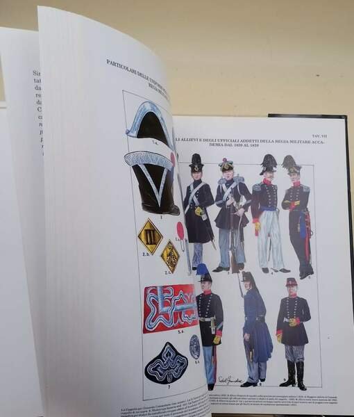 DALLA REAL MILITARE ACCADEMIA ALLA REGIA ACCADEMIA DI ARTIGLIERIA E …