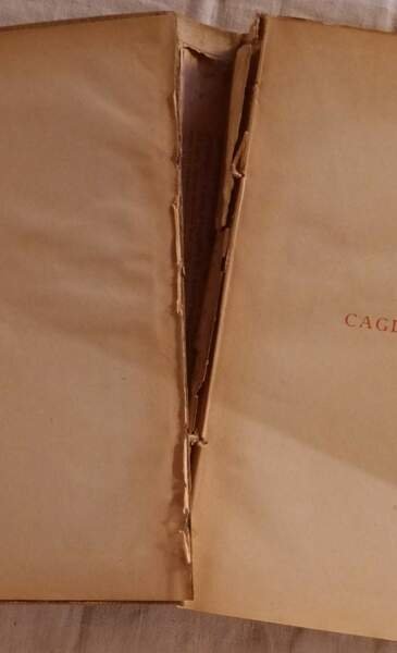 CAGLIOSTRO(1931)