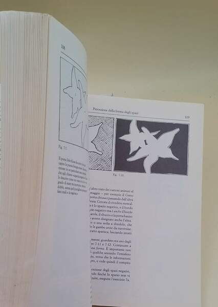 DISEGNARE CON LA PARTE DESTRA DEL CERVELLO(1990)