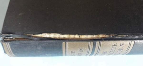 EINE GESCHICHTE DER JUDEN (UNA STORIA DEGLI EBREI) (1933)