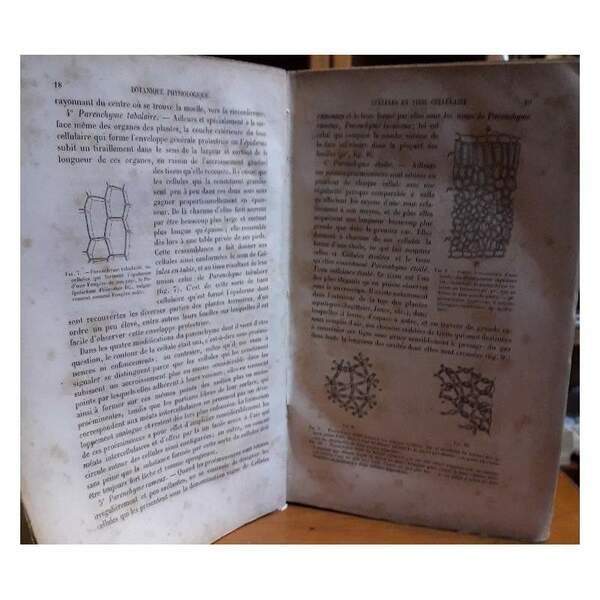 ELEMENTS DE BOTANIQUE COMPRENANT L'ANATOMIE, L'ORGANOGRAPHIE, LA PHYSIOLOGIE DES PLANTES, …