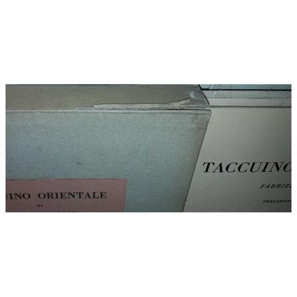 TACCUINO ORIENTALE-Preceduto dalla lunghissima notte nel deserto di libero de …