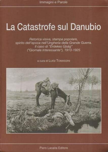LA CATASTROFE SUL DANUBIO (2004)