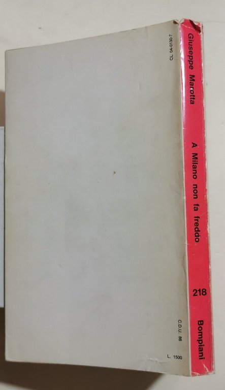 A Milano non fa freddo