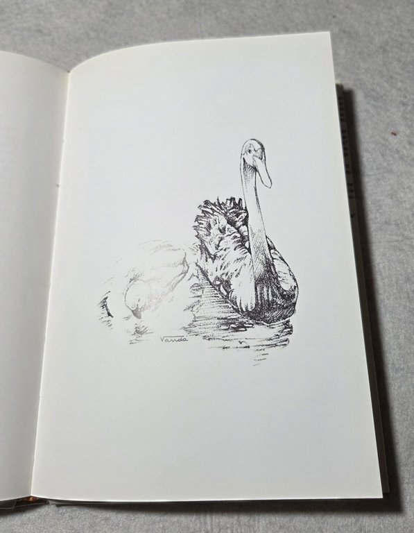 A Wanda...poesie | Immagine Gallery 4