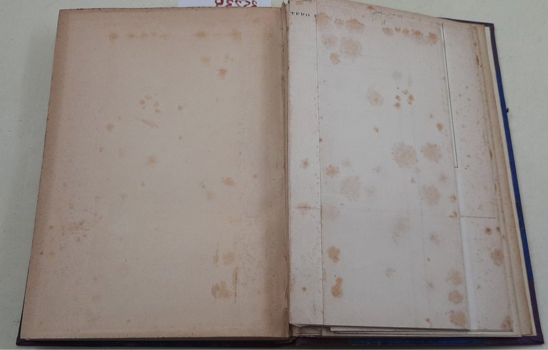 Ai confini meridionali dell'Etiopia - Note di un viaggio attraverso … | Immagine Gallery 3