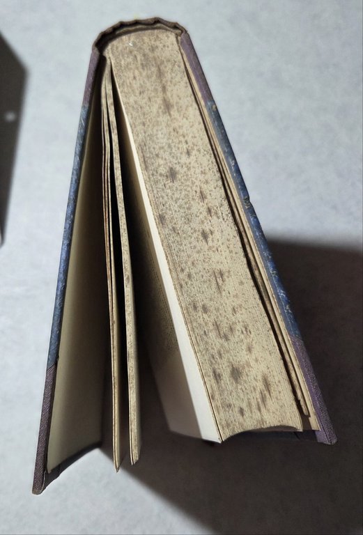 Ai confini meridionali dell'Etiopia - Note di un viaggio attraverso … | Immagine Gallery 5