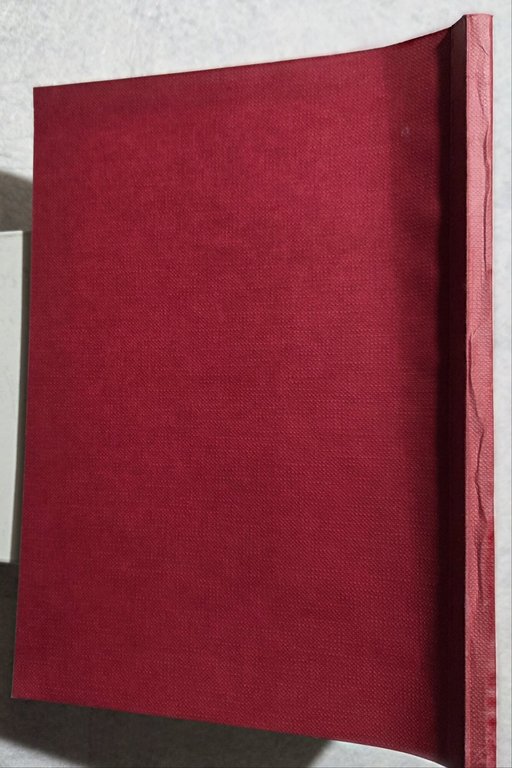 Aids e infezioni da virus dell'immunodeficienza umana ( HIV ) | Immagine Gallery 3