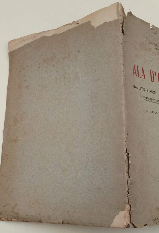 ALA D'ITALIA...SALUTO LIRICO A FRANCESCO DE PINEDO E A GIACOMO …