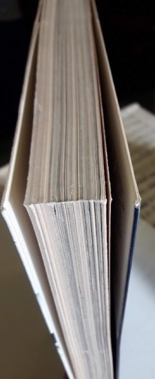 ALVAR AALTO (1981) | Immagine Gallery 7