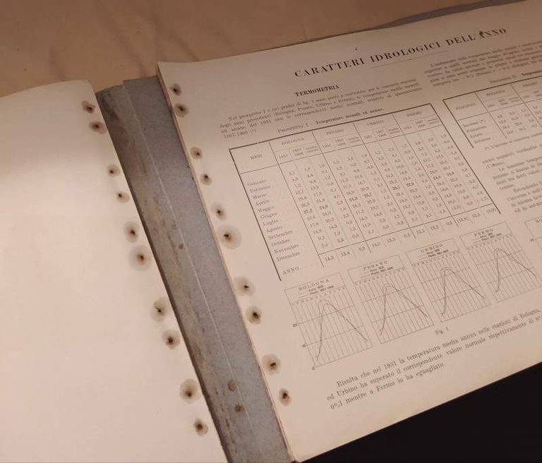 ANNALI IDROLOGICI 1931 PARTE II - ELABORAZIONE E STUDI (1934)