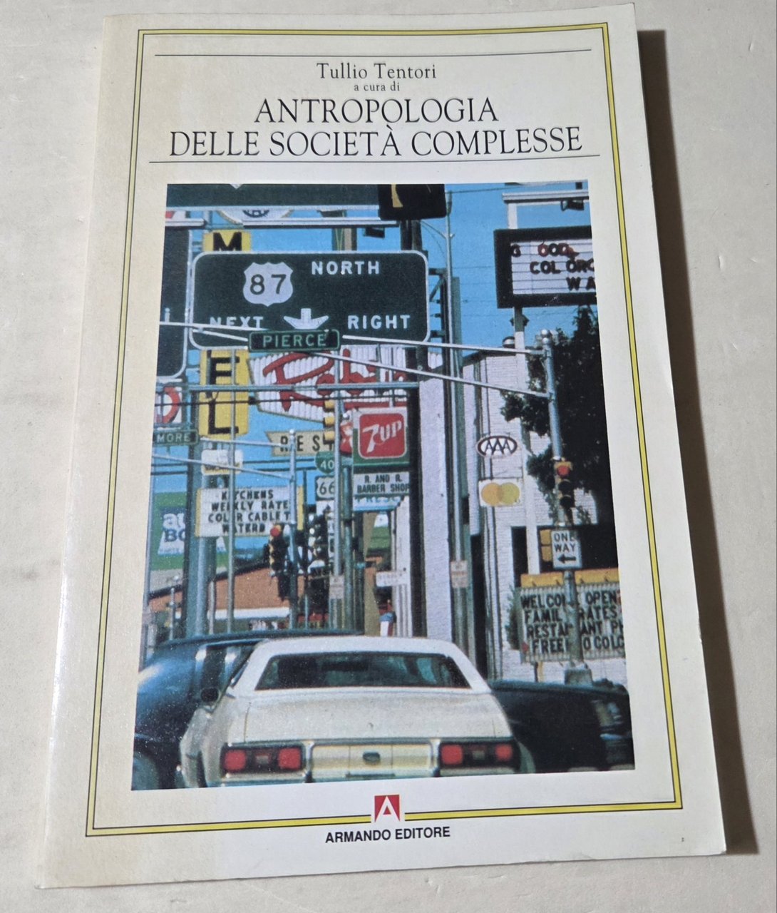 Antropologia delle società complesse
