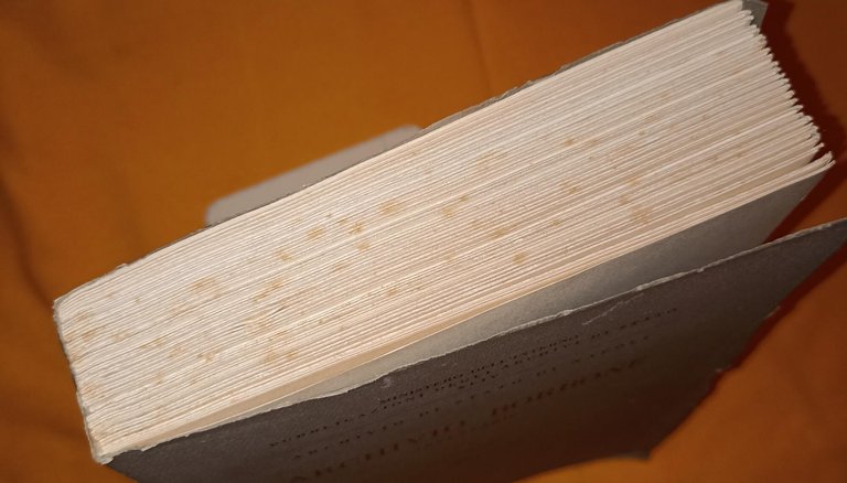 Archivio borbone - Inventario Volume secondo