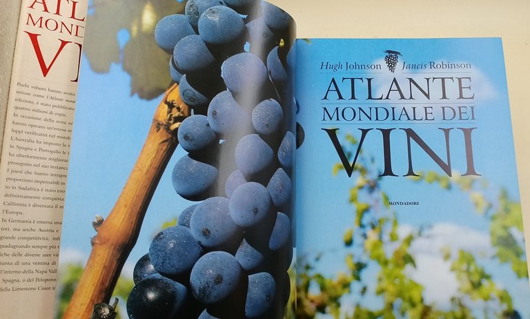 Atlante mondiale dei vini