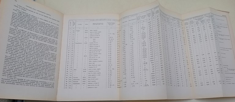 Atti del Convegno sulla concimazione azotata nell'Italia meridionale e nelle …