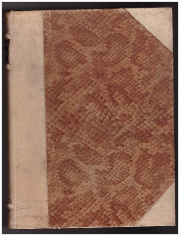 AUSTRALIA CONTINENTE MINORENNE (1940) | Immagine Gallery 6