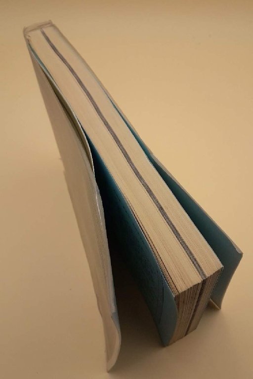 BAU-UND SINN-ANZEIGER IM DEUTSCHEN SATZGEFUGE(1981)