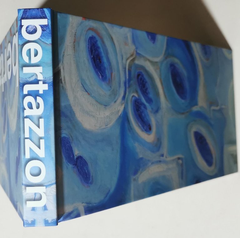 Bertazzon - frammenti