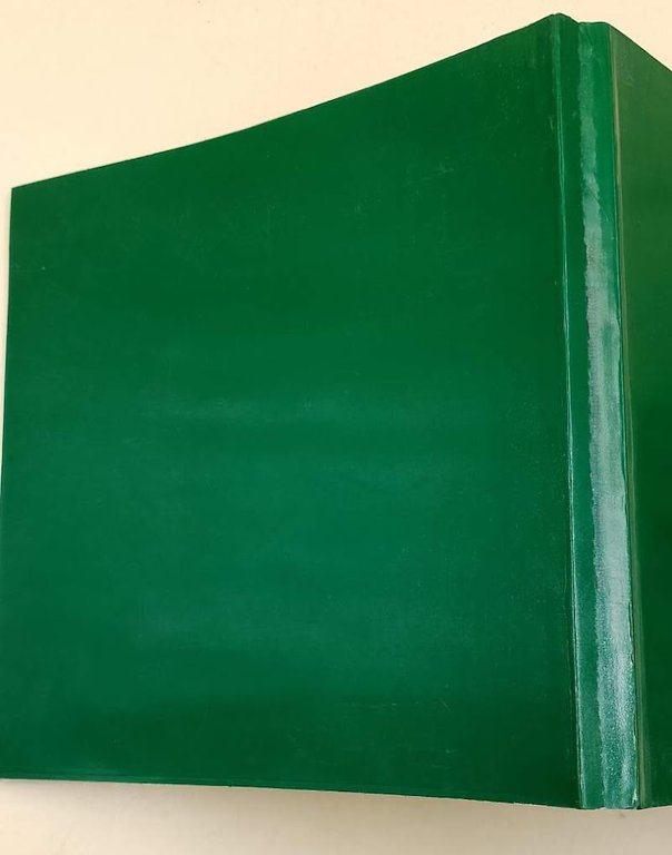 BILANCIO E CONSOLIDATO DI GRUPPO- ESERCIZIO 1986
