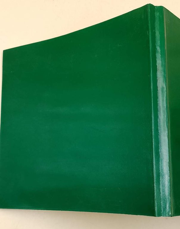 BILANCIO E CONSOLIDATO DI GRUPPO- ESERCIZIO 1986