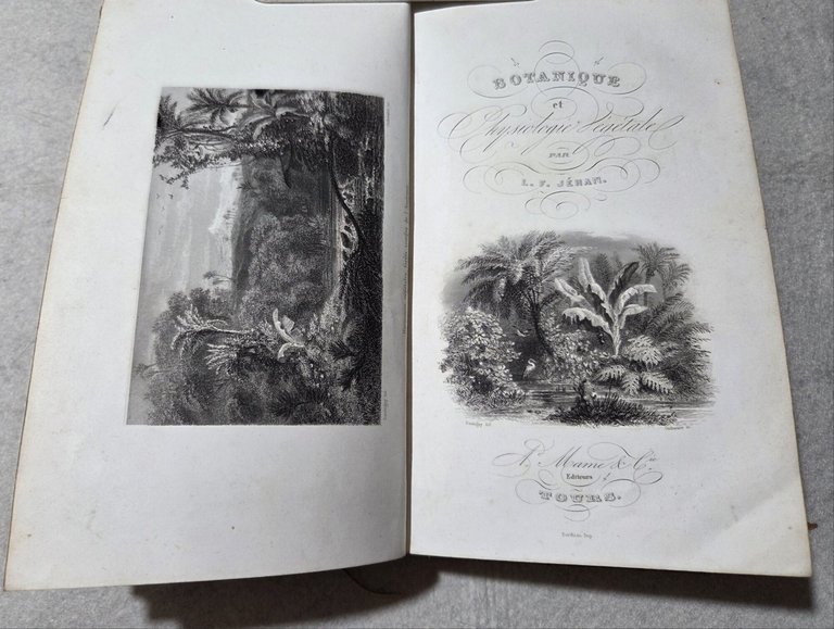 Botanique et Physiologie Vegetale | Immagine Gallery 2