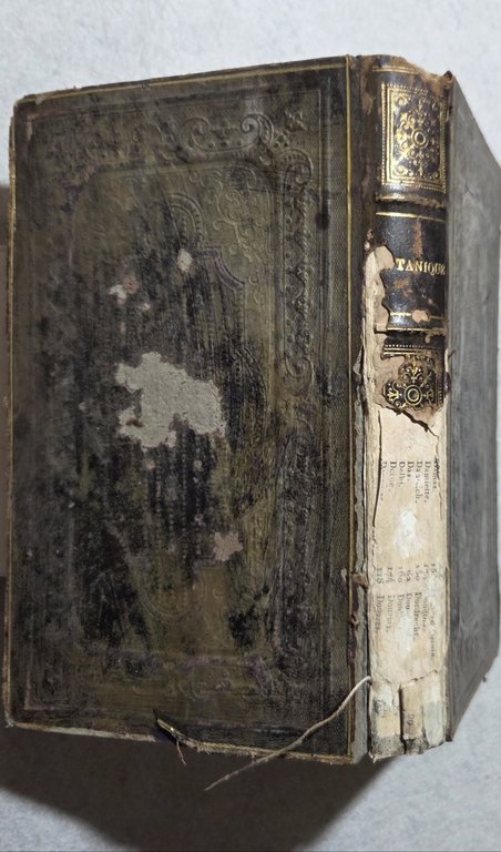 Botanique et Physiologie Vegetale | Immagine Gallery 3