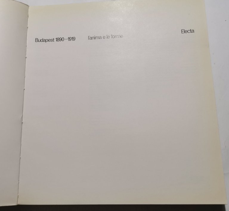 Budapest 1890 - 1919 l'anima e le forme