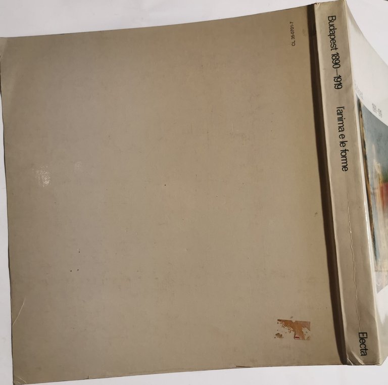 Budapest 1890 - 1919 l'anima e le forme