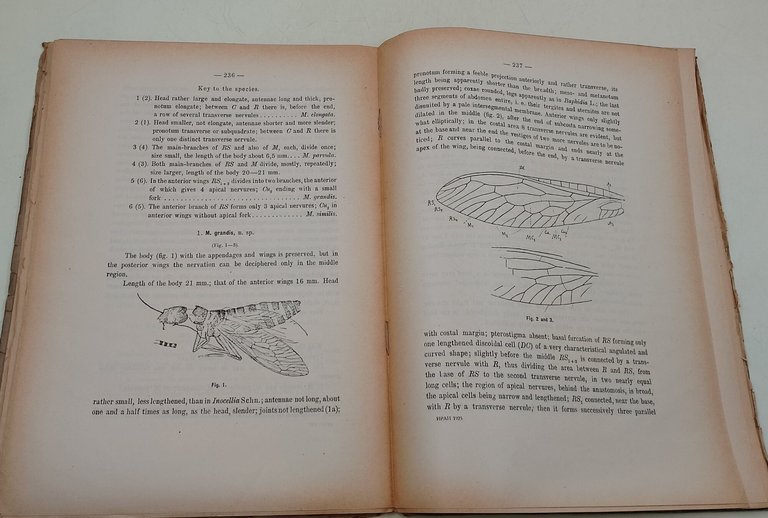 Bulletin de l'Academie des Sciences de Russie- VI serie- 1 …