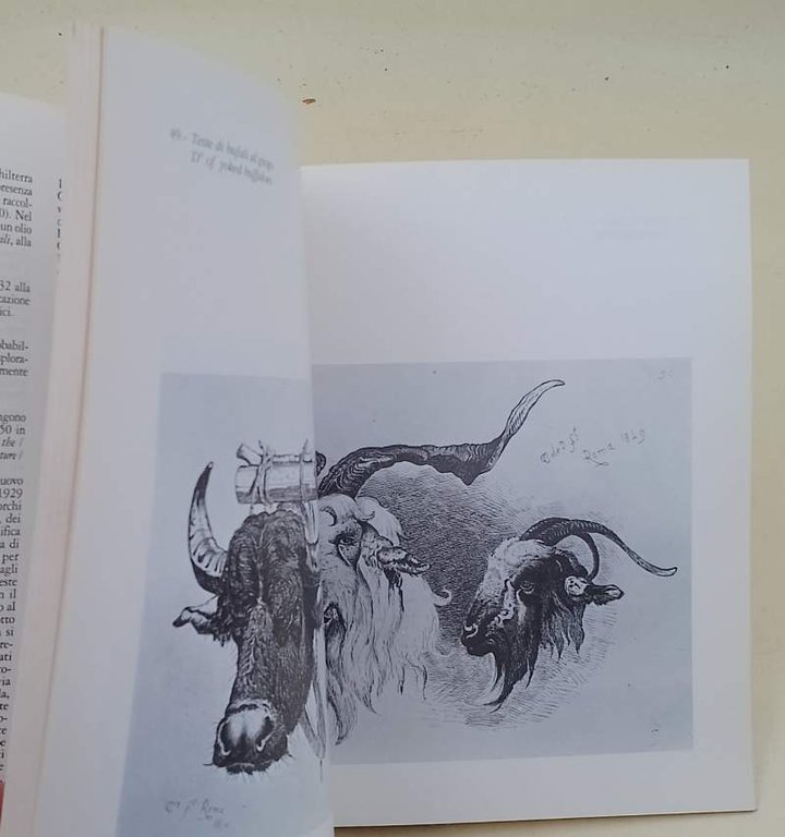 CAMPAGNA ROMANA E PALUDI PONTINE-ACQUEFORTI DEL 1850(1990)