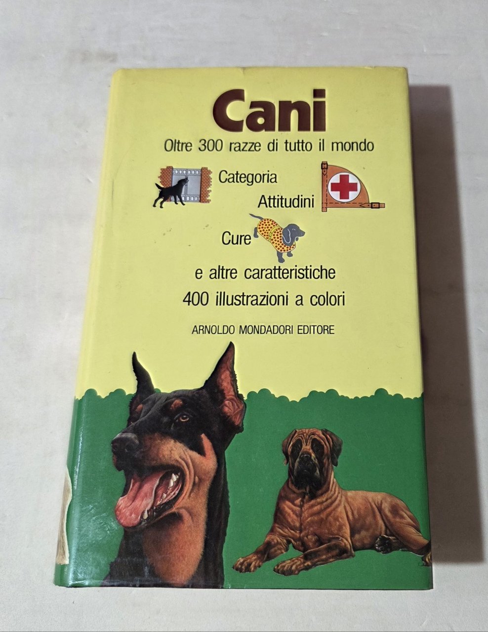 Cani