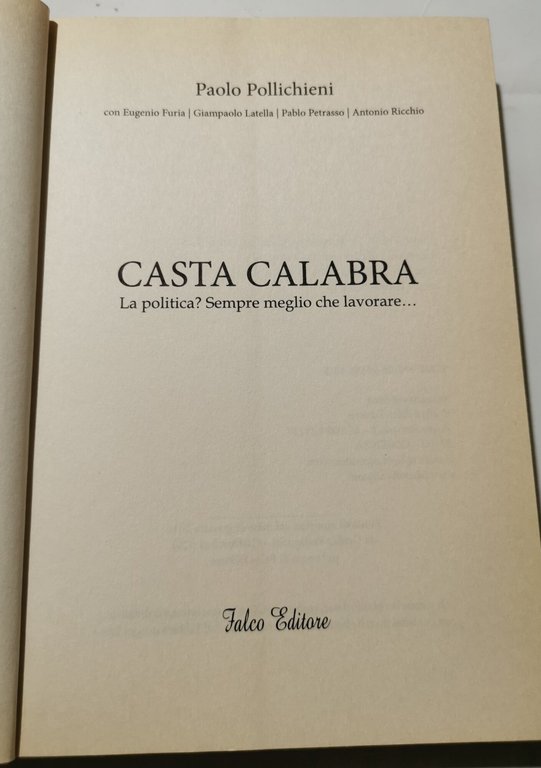 Casta calabra - La politica? sempre meglio che lavorare...