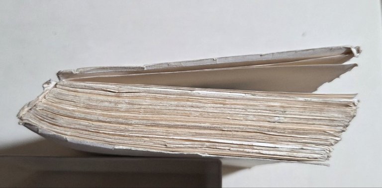 Cavalieri di Malta - Un omaggio aPio XII | Immagine Gallery 4