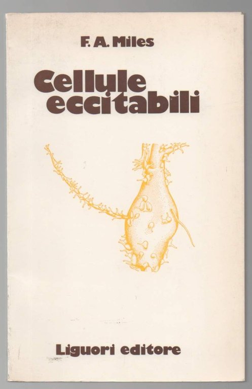 CELLULE ECCITABILI (1977) | Immagine Gallery 2