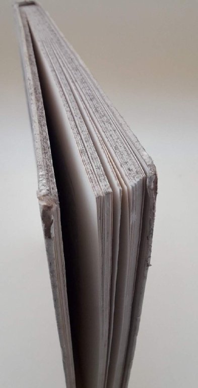 CENTO ANNI DI FEDETA'- NOTE STORICHE SULLA GUARDIA PALATINA D'ONORE …