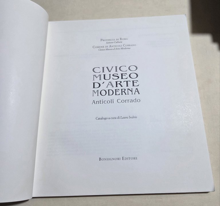 Civico Museo di Arte Moderna Anticoli Corrado | Immagine Gallery 2