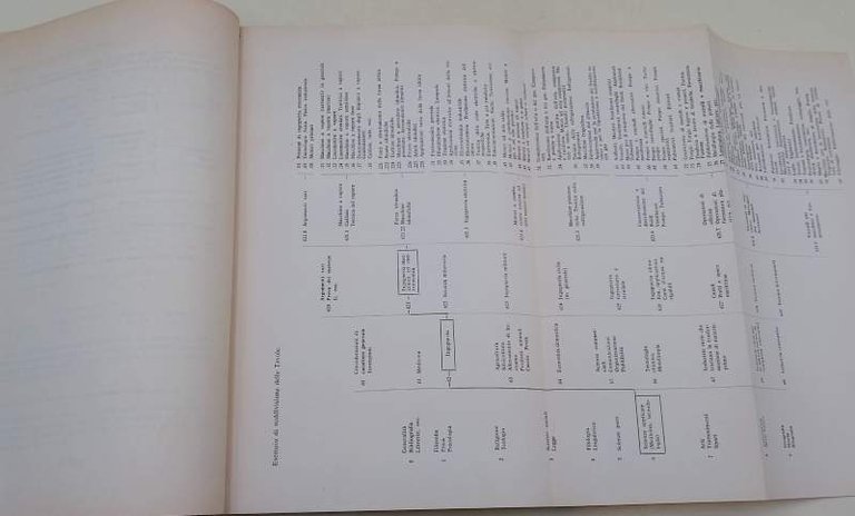 CLASSIFICAZIONE DECIMALE UNIVERSALE -EDIZIONE ABBREVIATA ITALIANA- PUBBL. FID N. 356(1964)