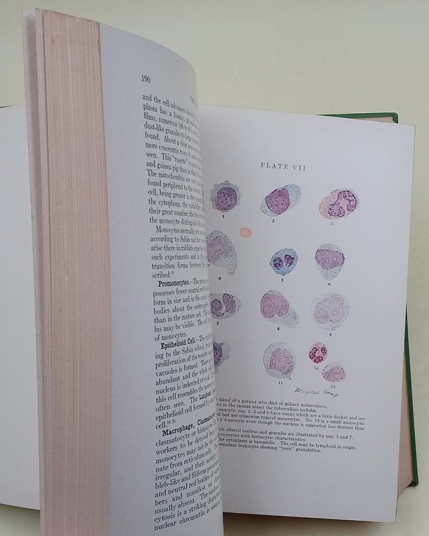 Clinical Hematology