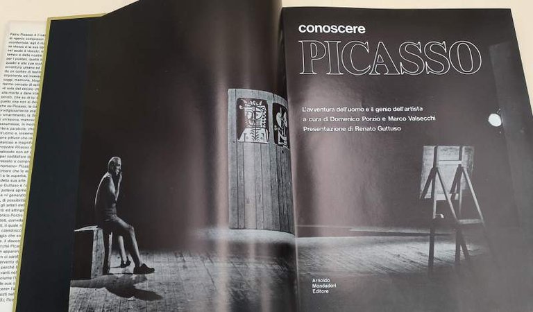 CONOSCERE PICASSO-L'AVVENTURA DELL'UOMO E IL GENIO DELL'ARTISTA(1973)