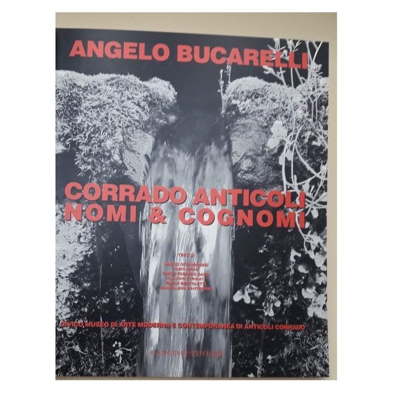CORRADO ANTICOLI NOMI & COGNOMI( 2010)