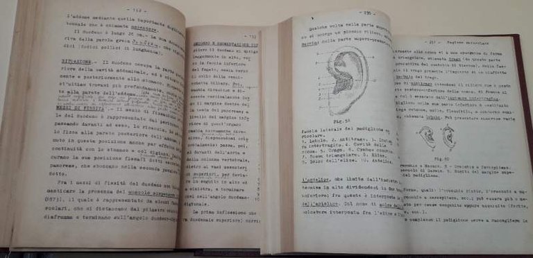 CORSO DI SPLANCNOLOGIA E TOPOGRAFIA PROIETTIVA DEGLI ORGANI TORACO-ADDOMINALI(1943)
