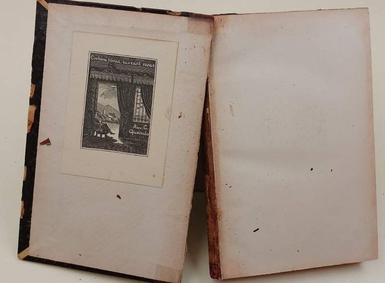 COSTANZA MONTI PERTICARI STUDIO SU DOCUMENTI INEDITI(1903)