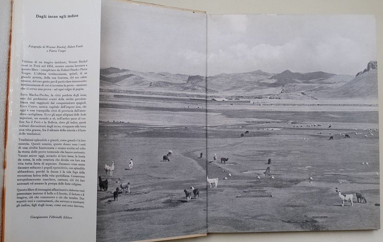 Dagli Incas agli Indios